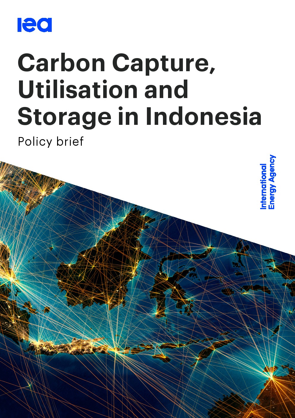 IEA:印度尼西亚的碳捕获、利用和封存