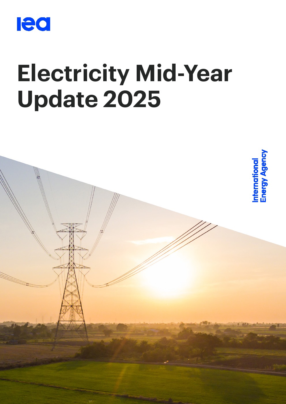 国际能源署：2025年年中电力报告
