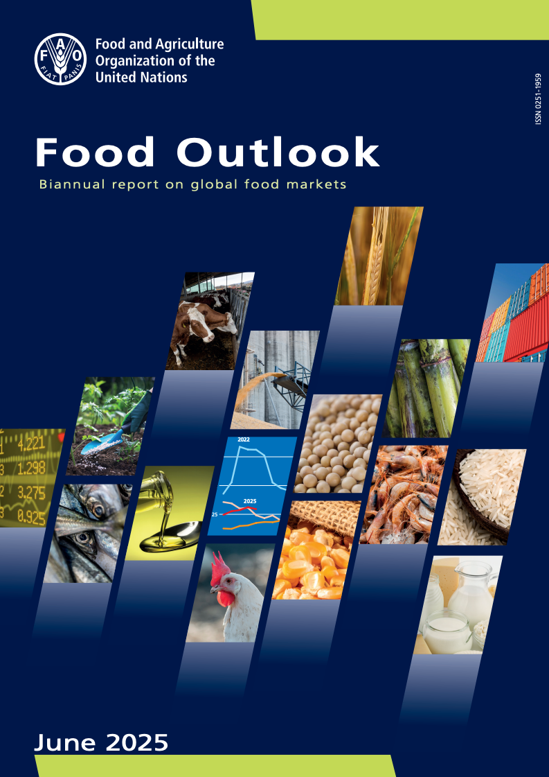 FAO：2025年全球食品市场展望报告