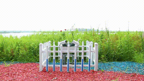 七里海湿地开展‘低空+湿地巡检’项目