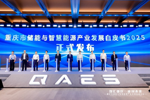 重庆市储能与智慧能源产业发展高峰论坛举行