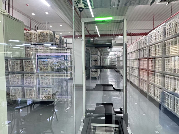 广西浦北陈皮：智能化仓储推动品质升级与标准化建设