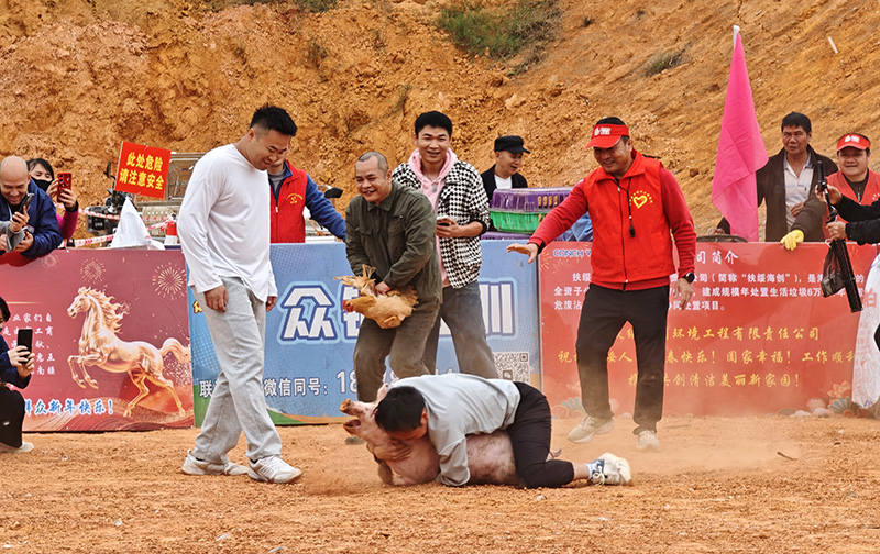 “抓龙猪”趣味竞技现场，选手扑倒抓住福猪，引得围观群众阵阵欢笑。韦子明摄